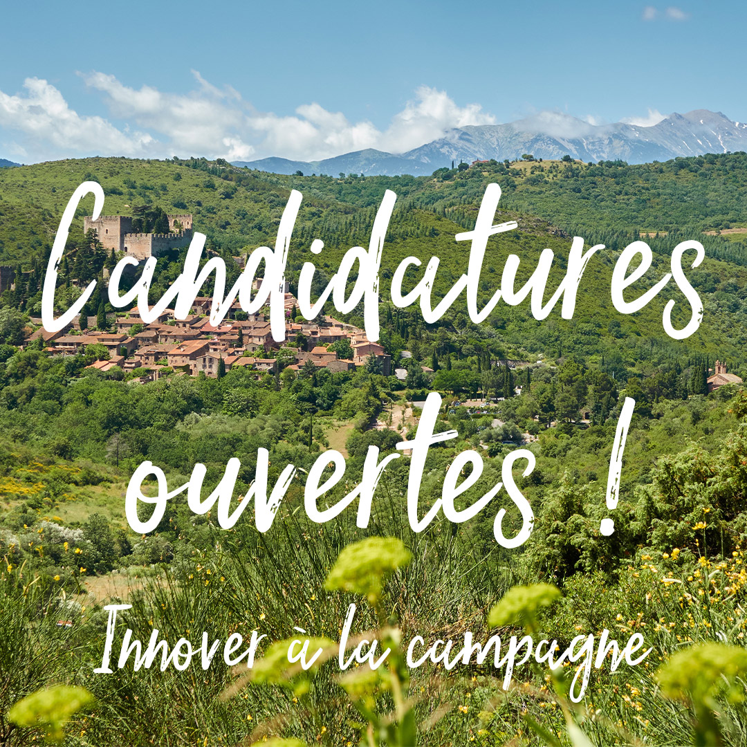 Post Instagram - Candidatures ouvertes